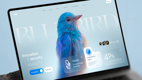 BlueBird - Tech  security preview