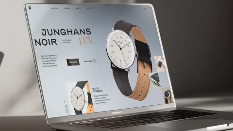 Luxury Timepiece preview